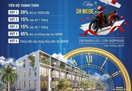 CĐT Realtimes Giới Thiệu Dự Án Palmy Biztown hot nhất Thanh trì