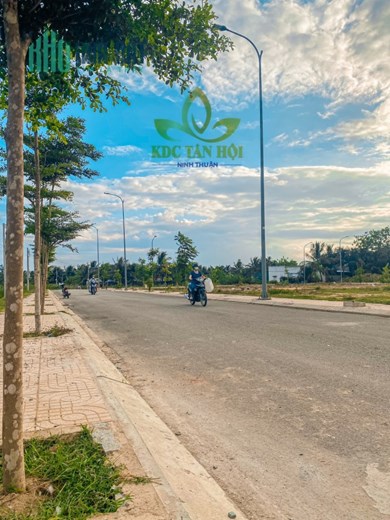 Bán đất dư án Tân Hội sau nhà thờ Tân Hội ngay trung tâm thành phố cách QL1A chỉ 500m