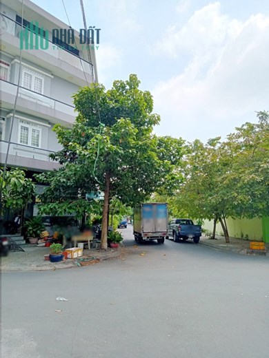 Nhà thuê nguyên căn KDC Bông Sao P5Q8 - Giá : 20 Triệu / Tháng