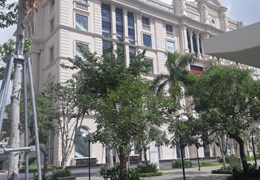 Bán nhà Cityland Phan Văn trị,Gò Vấp, đang có HD Thuê 45 triệu tháng