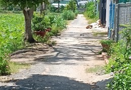 CHÍNH CHỦ CẦN BÁN ĐẤT Ô TÔ VÀO TẬN ĐẤT VIEW HỒ SEN.