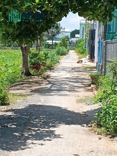 CHÍNH CHỦ CẦN BÁN ĐẤT Ô TÔ VÀO TẬN ĐẤT VIEW HỒ SEN.