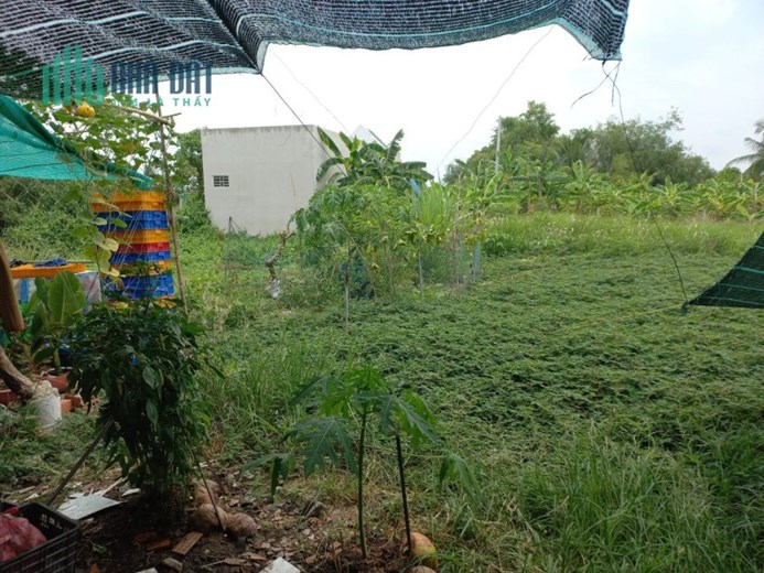 ĐẤT CHÍNH CHỦ - VỊ TRÍ ĐẸP Tại Ấp Phước Hưng 1, Xã Phước Lâm, Cần Giuộc - Long An