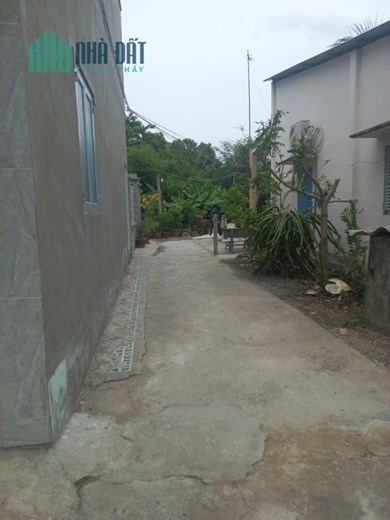ĐẤT CHÍNH CHỦ - VỊ TRÍ ĐẸP Tại Ấp Phước Hưng 1, Xã Phước Lâm, Cần Giuộc - Long An