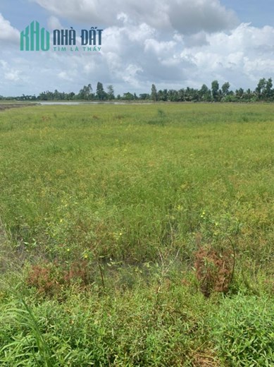 MUA VÀNG THÌ LỖ - MUA THỔ THÌ LỜI - LÔ ĐẤT ĐẸP GIÁ SIÊU ĐẦU TƯ