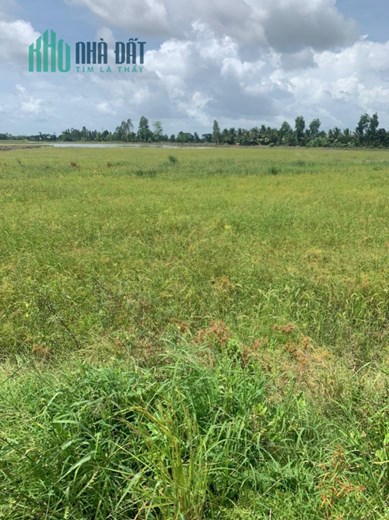 MUA VÀNG THÌ LỖ - MUA THỔ THÌ LỜI - LÔ ĐẤT ĐẸP GIÁ SIÊU ĐẦU TƯ