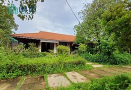 Bán Biệt thự nhà vườn gỗ xưa 1223m2 hòa hợp thiên nhiên Vườn Lài, Quận 12