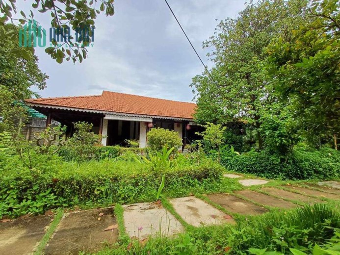 Bán Biệt thự nhà vườn gỗ xưa 1223m2 hòa hợp thiên nhiên Vườn Lài, Quận 12