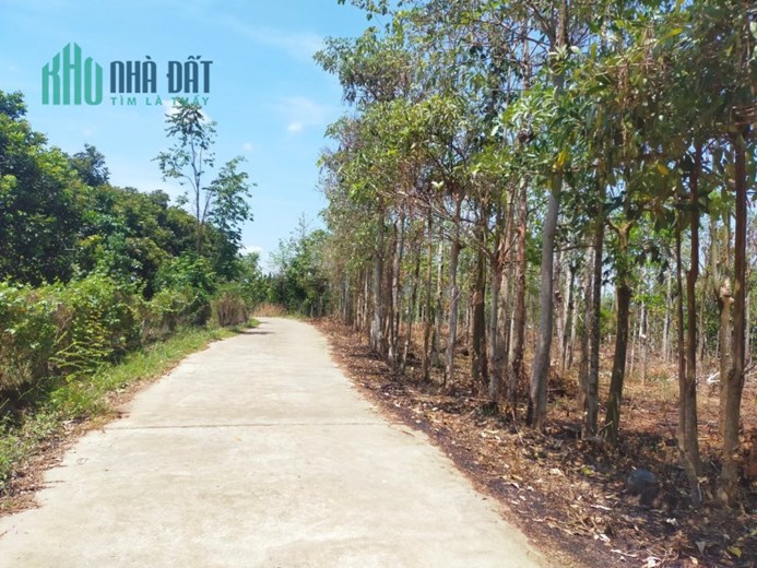 Bán cắt lỗ 1 sào đất 40m mặt tiền bê tông phía sau giáp hồ tại Tân Phú