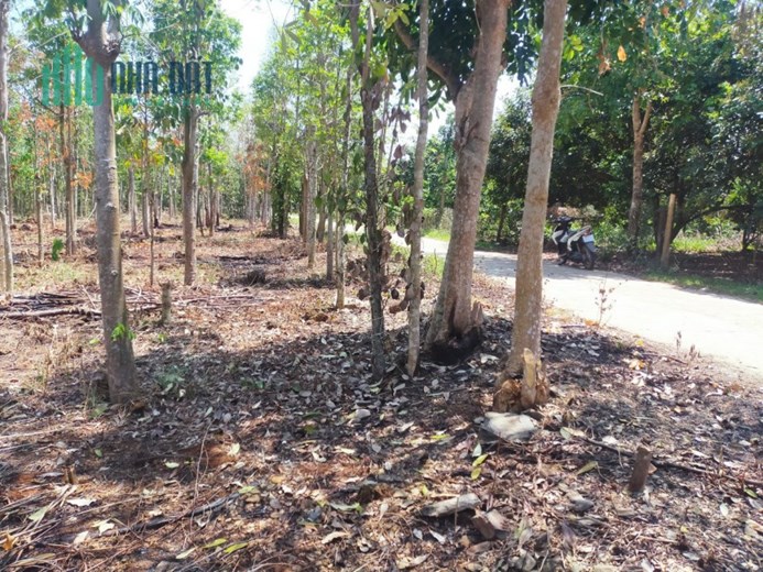 Bán cắt lỗ 1 sào đất 40m mặt tiền bê tông phía sau giáp hồ tại Tân Phú