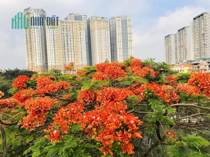 KIM GIANG - HOÀNG MAI - 50M2 X 4 TẦNG - Ô TÔ ĐỖ CỬA - VIEW HỒ THOÁNG MÁT - TRƯỚC NHÀ LÀ