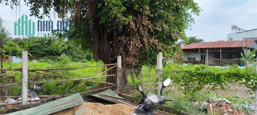 BÁN GẤP - ĐẤT MẶT TIỀN Tại KP5 Võ Thị Sáu, Phường 4, Thành phố Tây Ninh, Tây Ninh
