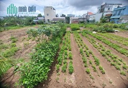 CHÍNH CHỦ CẦN BÁN NHANH Lô Đất Địa Thế Đẹp Gần Biệt Thự Mai Lương, Huyện Long Hồ, Vĩnh Long