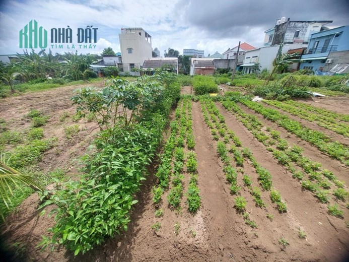 CHÍNH CHỦ CẦN BÁN NHANH Lô Đất Địa Thế Đẹp Gần Biệt Thự Mai Lương, Huyện Long Hồ, Vĩnh Long
