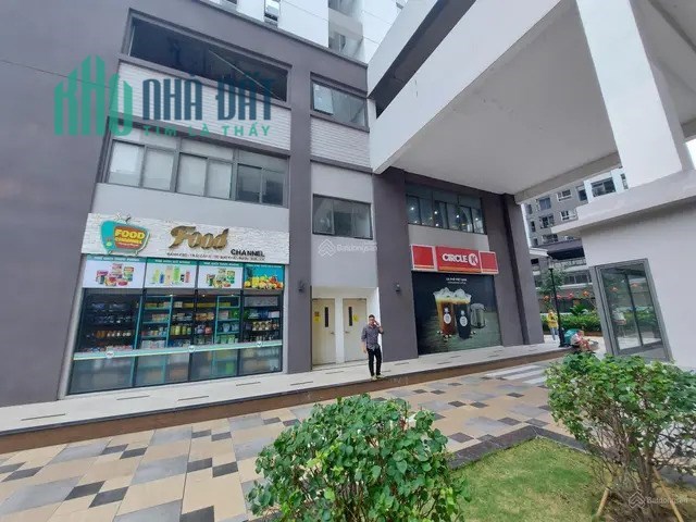 Bán shop khối đế chung cư đối diện trường liên cấp Times school Long Biên giá 9.7 tỷ