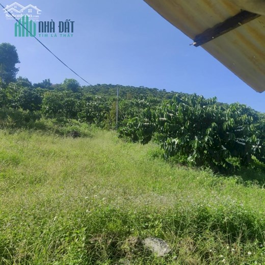 CHÍNH CHỦ CẦN BÁN LÔ ĐẤT THÍCH HỢP LÀM VIEW NGHỈ DƯỠNG NGAY ĐẠI LÀO - TP BẢO LỘC - LÂM ĐỒNG