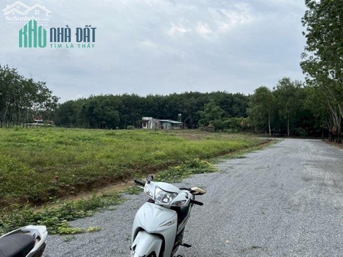 CHÍNH CHỦ CẦN BÁN NHANH LÔ ĐẤT THỔ CƯ SÁT BÊN ỦY BAN XÃ TÂN LỢI - ĐỒNG PHÚ - BÌNH PHƯỚC