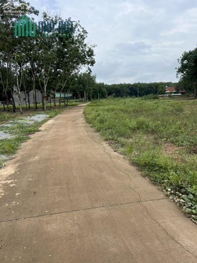 CHÍNH CHỦ CẦN BÁN NHANH LÔ ĐẤT THỔ CƯ SÁT BÊN ỦY BAN XÃ TÂN LỢI - ĐỒNG PHÚ - BÌNH PHƯỚC