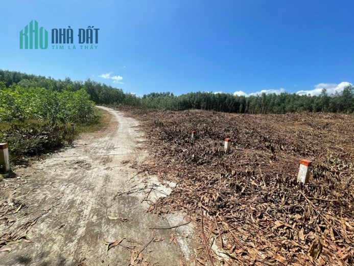 Đất Diên Tân, Diên Khánh tách được 9 lô hoặc làm vườn