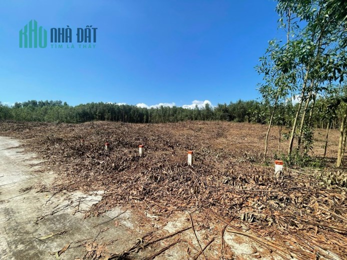 Đất Diên Tân, Diên Khánh tách được 9 lô hoặc làm vườn