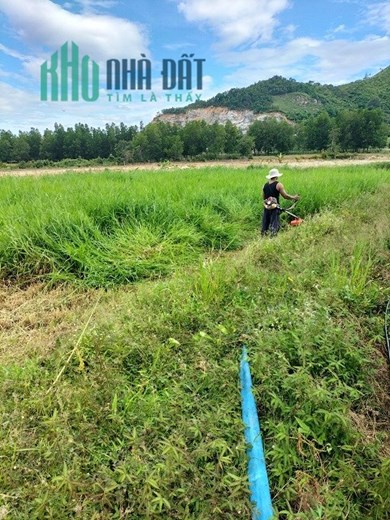 Chính Chủ Cần Bán Nhanh Lô Đất Đẹp Vị Trí Đắc Địa Tại Xã Lâm sơn, Ninh Sơn, Ninh Thuận