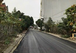 Bán lô đất biệt thự rẻ nhất thị trường tại Bùi Thị Tự Nhiên, Đông Hải 1, Hải An.