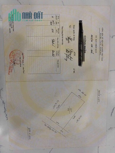 Bán lô đất biệt thự rẻ nhất thị trường tại Bùi Thị Tự Nhiên, Đông Hải 1, Hải An.