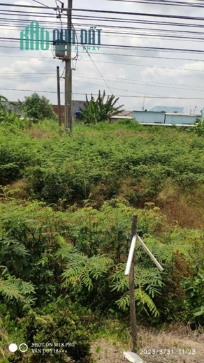 ĐẤT ĐẸP – CHÍNH CHỦ - GIÁ CỰC MỀM Tại Huyện Tân Phước - Tiền Giang