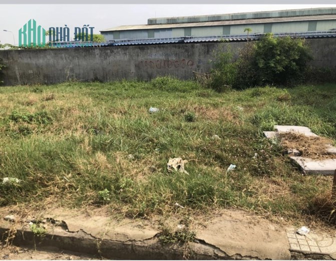 NGỘP QUÁ CẦN BÁN GẤP ĐẤT TT HẬU NGHĨA ĐỨC HOÀ LONG AN
