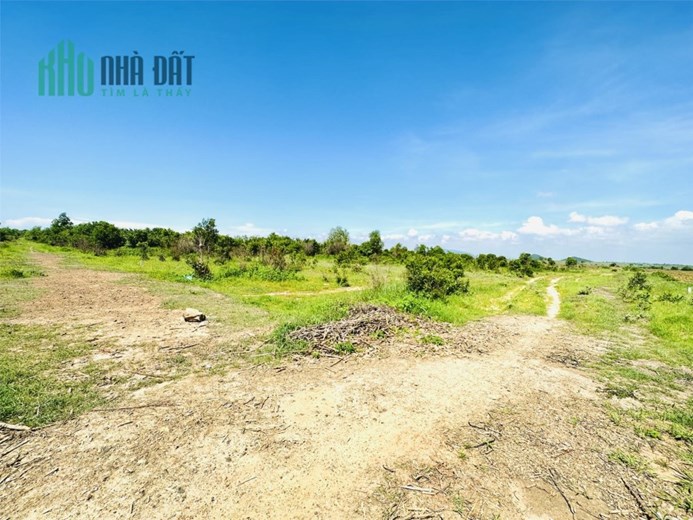 Chủ cần ra 2 lô đất vườn (CLN) 3 mặt tiền gần đường 719B-Novaworld Phan Thiết