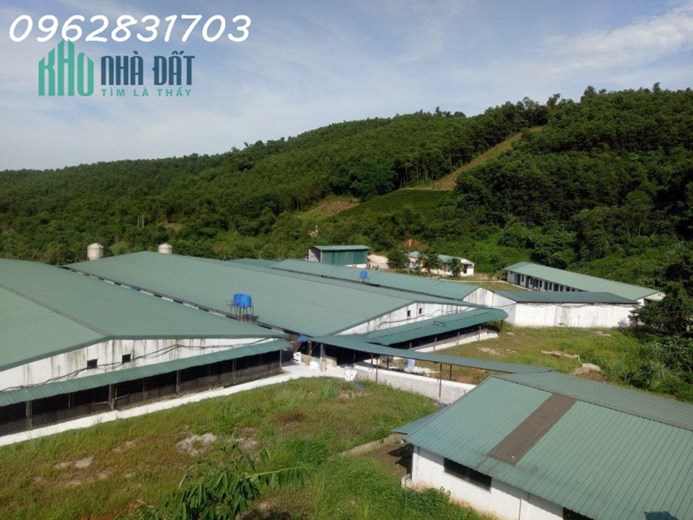 chủ cần tiền bán nhanh trang trại giá rẻ nhất thị trường hơn 40 tỷ có thương lượng