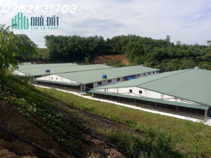chủ cần tiền bán nhanh trang trại giá rẻ nhất thị trường hơn 40 tỷ có thương lượng
