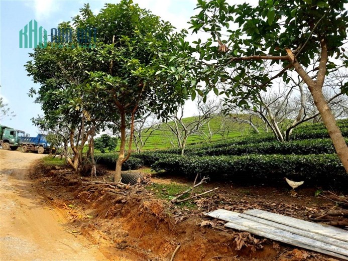 Bán gấp mảnh Vân Hồ -Mộc Châu-944m2-100m thổ cư-view đẹp