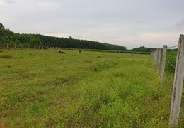 Kẹt tiền cần bán gấp lô đất gia đình ở xã Long Chữ, huyện Bến Cầu, Tây Ninh.