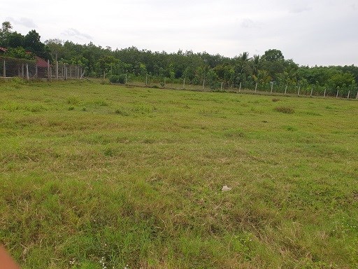 Kẹt tiền cần bán gấp lô đất gia đình ở xã Long Chữ, huyện Bến Cầu, Tây Ninh.