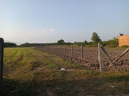 Kẹt tiền cần bán gấp lô đất gia đình ở xã Long Chữ, huyện Bến Cầu, Tây Ninh.