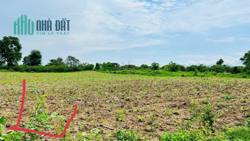 Cần Bán Nhanh 2 lô Đất Đẹp - Giá Tốt tại huyện Krông Pắk tỉnh Đắk Lắk