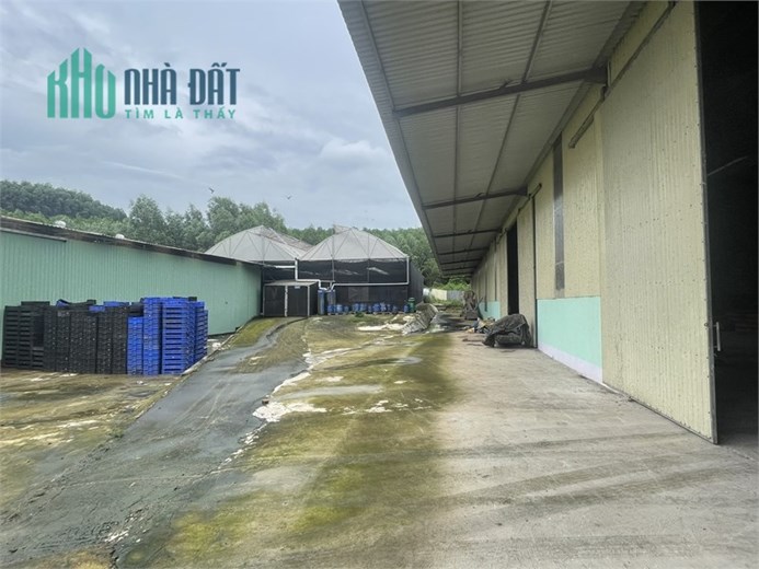 Bán Nhà Xưởng Ngoài KCN, đất đã đóng thuế SD lâu dài, vị trí xa KDC thuận tiện sản xuất