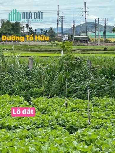 CHÍNH CHỦ CẦN BÁN NHANH Lô Đất Đẹp tại TP Buôn Ma Thuột , tỉnh Đắk Lắk