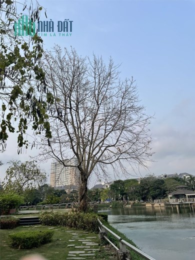 Hồ Tùng Mậu 137 m chỉ 12 tỷ , nhà biệt thự 3 tầng sân vườn đẹp , cách Viện 198 tầm 3 phút