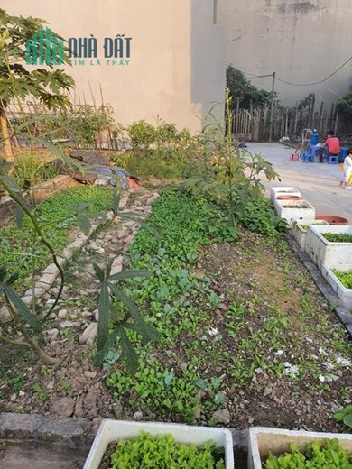 Bán đất Yên lộ, Yên Nghĩa, 280m2, MT25.4m, chia lô không cắt ngõ, nhỉnh 50tr/m2