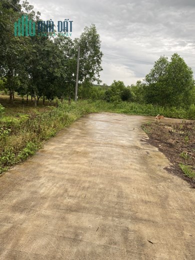 Chính chủ cần bán đất xã Xuân Tâm, huyện Xuân Lộc, tỉnh Đồng Nai