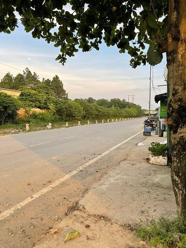 ⭐Cho thuê kho xưởng tại Song Phương, Hoài Đức, 0773226585