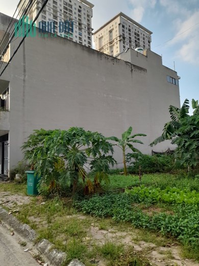 Chính chủ cần bán lô đất dịch vụ tại Cựu Quán, Đức Thượng, Hoài Đức, HN, 61m2, LH: 0972 990 831