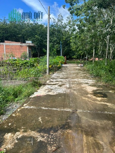 Cô tôi cần vốn kinh doanh sang lại gấp miếng đất thổ cư 300m/499 triệu