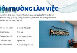 MÔI TRƯỜNG LÀM VIỆC TẠI PANORAMA