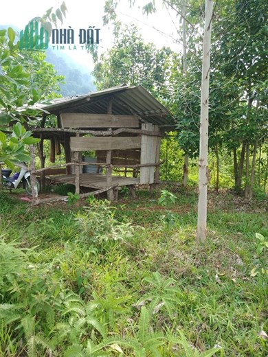 Chính chủ cần bán Lô đất Trang Trại Thuộc Km 30 Minh Ngọc - Bắc Mê - Hà Giang.