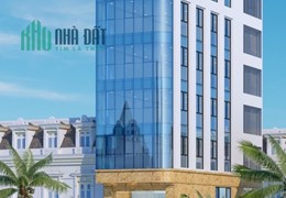 Cho Thuê tòa nhà Văn Phòng 9 tầng mặt Phố Thụy Khuê Dt 196m2 Mt 12m. Giá 250tr/th