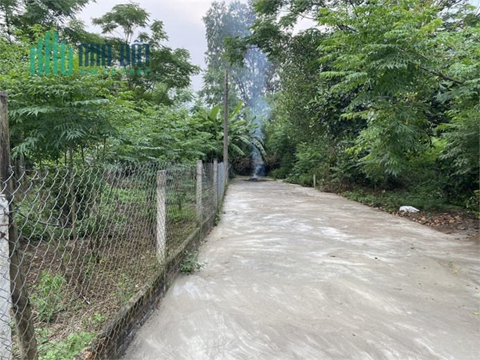 BÁN RẺ 3 LÔ ĐẤT HOÀ PHƯỚC MỖI LÔ NGANG HƠN 8M GIÁ RẺ SẬP SÀN