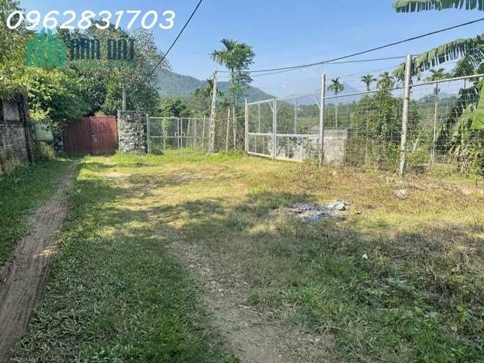 bán gần 3000m đất yên bình giá rẻ nhất thị trường